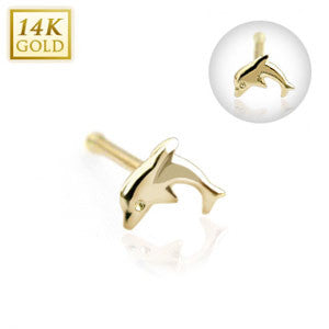 14 Karat Solid Yellow Gold Dolphin Nose Stud Ring, Length: 8MM Thickness: 20 GA