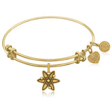 Expandable Yellow Tone Brass Bangle with ATOM Symbol